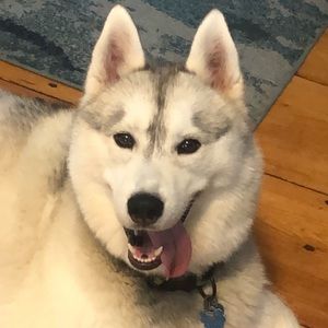 Meet your Posher, Aiden